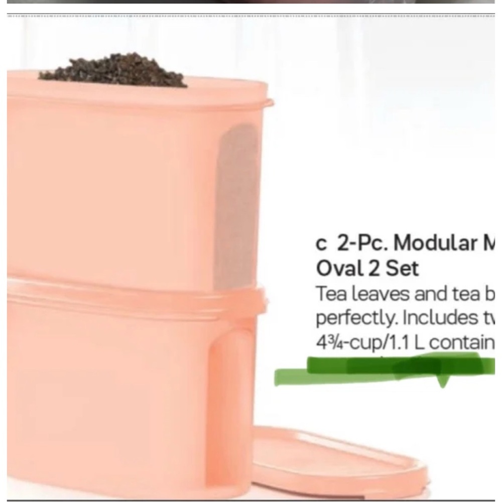 Tupperware Peach Oval Modular Mates Set